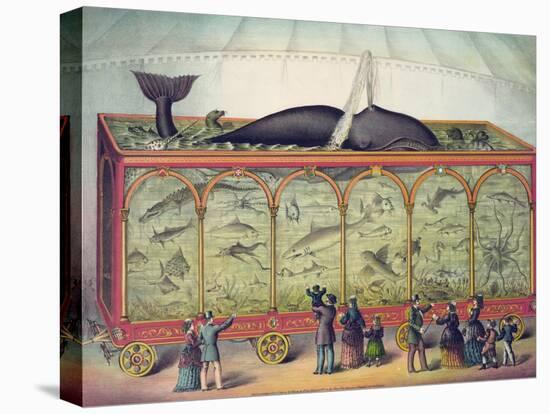 Lithograph of 19th Century Traveling Aquarium-null-Stretched Canvas