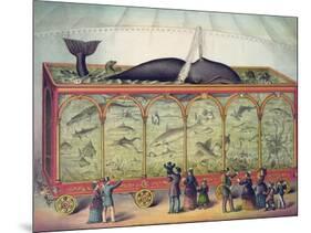 Lithograph of 19th Century Traveling Aquarium-null-Mounted Giclee Print
