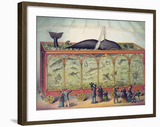 Lithograph of 19th Century Traveling Aquarium-null-Framed Giclee Print