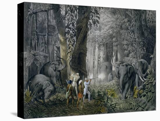 Lithograph of an Elephant Hunt After Graf Andrasy-Stapleton Collection-Stretched Canvas