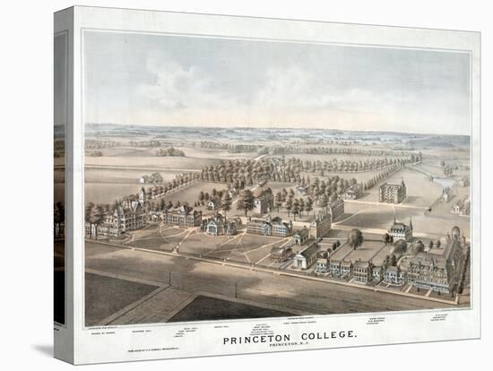 Lithograph of Princeton College-null-Stretched Canvas