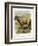 Lithograph of Sheep-null-Framed Giclee Print