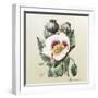 Lithograph of the Opium Poppy-National Library of Medicine-Framed Premium Photographic Print