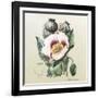 Lithograph of the Opium Poppy-National Library of Medicine-Framed Photographic Print