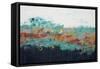 Lithopshere 131-Hilary Winfield-Framed Stretched Canvas