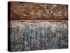 Lithoshpere XXV-Hilary Winfield-Stretched Canvas