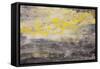 Lithosphere 101-Hilary Winfield-Framed Stretched Canvas