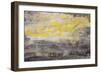 Lithosphere 101-Hilary Winfield-Framed Giclee Print