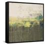 Lithosphere 120-Hilary Winfield-Framed Stretched Canvas