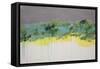 Lithosphere 140-Hilary Winfield-Framed Stretched Canvas