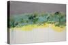 Lithosphere 140-Hilary Winfield-Stretched Canvas