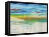 Lithosphere 162-Hilary Winfield-Framed Stretched Canvas