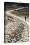 Lithuania, Curonian Spit, Perwalka, Drifting Sand Dune, Path-Catharina Lux-Stretched Canvas