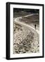 Lithuania, Curonian Spit, Perwalka, Drifting Sand Dune, Path-Catharina Lux-Framed Photographic Print