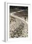 Lithuania, Curonian Spit, Perwalka, Drifting Sand Dune, Path-Catharina Lux-Framed Photographic Print