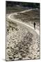 Lithuania, Curonian Spit, Perwalka, Drifting Sand Dune, Path-Catharina Lux-Mounted Photographic Print