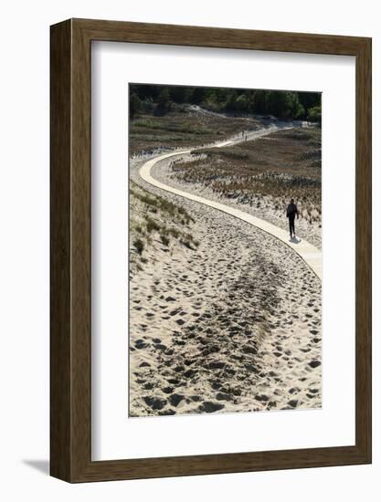 Lithuania, Curonian Spit, Perwalka, Drifting Sand Dune, Path-Catharina Lux-Framed Photographic Print