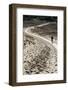 Lithuania, Curonian Spit, Perwalka, Drifting Sand Dune, Path-Catharina Lux-Framed Photographic Print