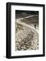 Lithuania, Curonian Spit, Perwalka, Drifting Sand Dune, Path-Catharina Lux-Framed Photographic Print