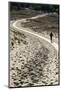 Lithuania, Curonian Spit, Perwalka, Drifting Sand Dune, Path-Catharina Lux-Mounted Photographic Print