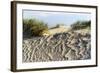 Lithuania, Curonian Spit, Perwalka, Drifting Sand Dune-Catharina Lux-Framed Photographic Print