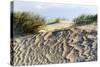 Lithuania, Curonian Spit, Perwalka, Drifting Sand Dune-Catharina Lux-Stretched Canvas