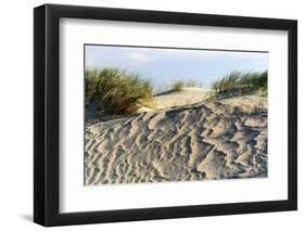 Lithuania, Curonian Spit, Perwalka, Drifting Sand Dune-Catharina Lux-Framed Photographic Print