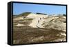 Lithuania, Curonian Spit, Perwalka, Drifting Sand Dune-Catharina Lux-Framed Stretched Canvas