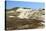 Lithuania, Curonian Spit, Perwalka, Drifting Sand Dune-Catharina Lux-Stretched Canvas