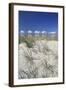 Lithuania, Curonian Spit, the Baltic Sea with Clouds-Catharina Lux-Framed Photographic Print