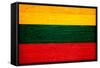 Lithuania Flag Design with Wood Patterning - Flags of the World Series-Philippe Hugonnard-Framed Stretched Canvas