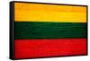 Lithuania Flag Design with Wood Patterning - Flags of the World Series-Philippe Hugonnard-Framed Stretched Canvas