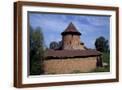 Brown Frame