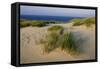 Lithuania, Klaipeda County, Curonian Spit, Beach-null-Framed Stretched Canvas