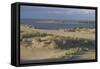 Lithuania, Klaipeda County, Curonian Spit, Beach-null-Framed Stretched Canvas