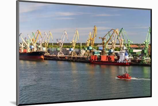 Lithuania, Klaipeda (Memel), Harbour, Cranes-Catharina Lux-Mounted Photographic Print