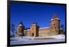 Lithuania, Trakai, Gothic Trakai Island Castle, Situated on Lake Galve-null-Framed Giclee Print