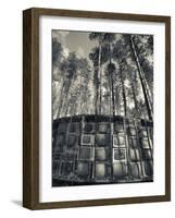 Lithuania, Vilnius-Area, Europos Parkas Sculpture Park, Lnk Infotree by Gintaras Karosas, 2001, Wor-Walter Bibikow-Framed Photographic Print