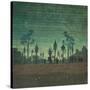 Stretched Canvas