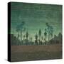 Stretched Canvas