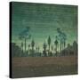 Stretched Canvas