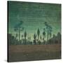 Stretched Canvas