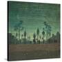 Stretched Canvas