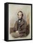 Litography-Charles Robert Darwin-Framed Stretched Canvas