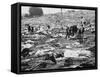 Litter of Woodstock Music Festival-null-Framed Stretched Canvas