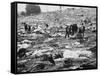 Litter of Woodstock Music Festival-null-Framed Stretched Canvas