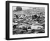 Litter of Woodstock Music Festival-null-Framed Premium Photographic Print