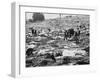 Litter of Woodstock Music Festival-null-Framed Photographic Print