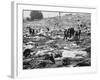 Litter of Woodstock Music Festival-null-Framed Photographic Print