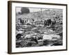 Litter of Woodstock Music Festival-null-Framed Photographic Print